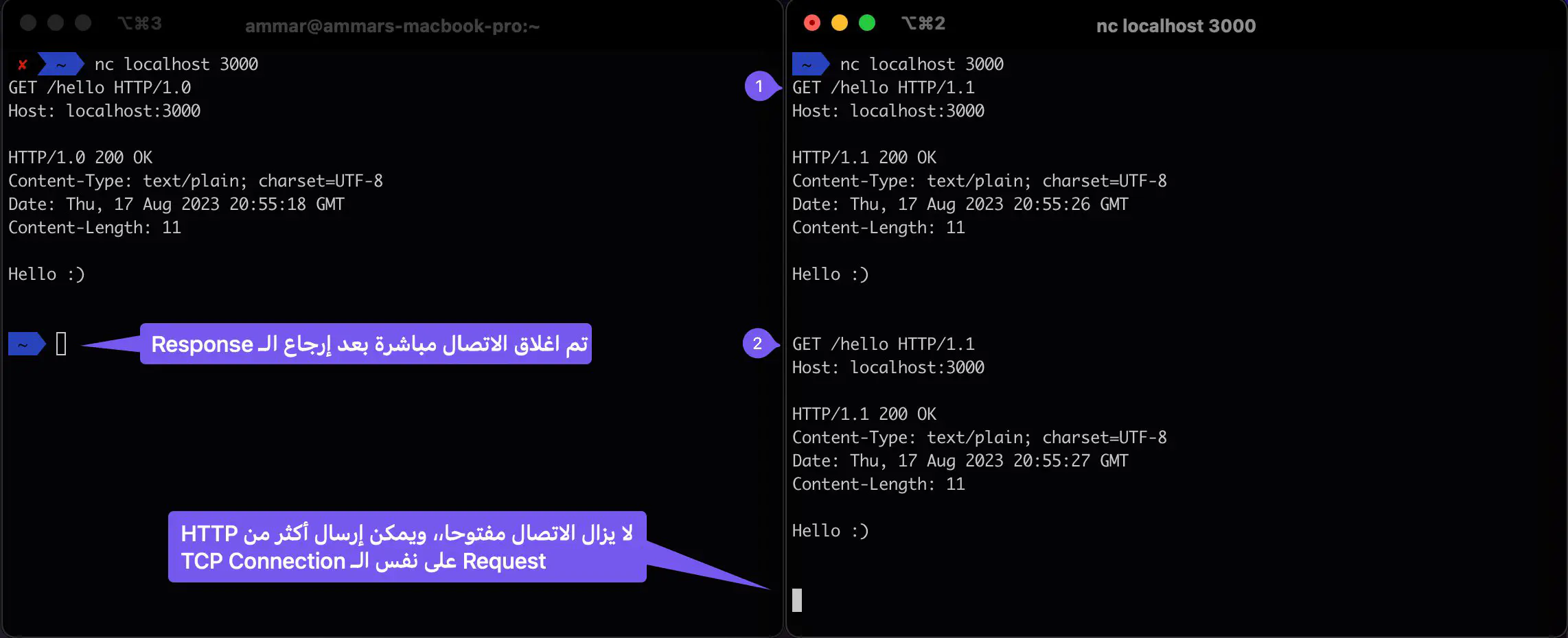 HTTP 1.0 vs HTTP 1.1 raw request